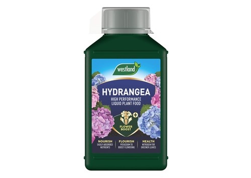 Hydrangea high performance - high,