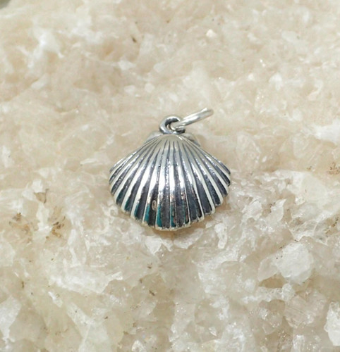 Seashell charm sterling - charm, silver