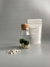 Mini Marimo Moss Balls Kit H