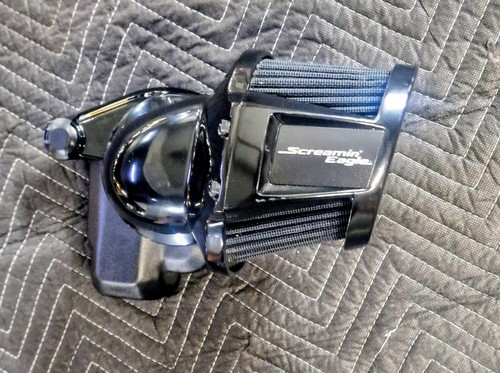 Screaming eagle heavy breather - eagle,