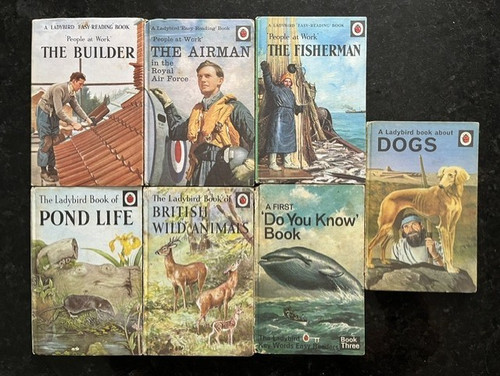 Collection vintage ladybird - of,