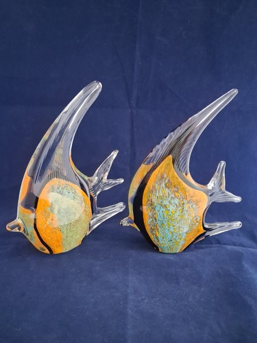 Lovely angel fishes - angel, glass