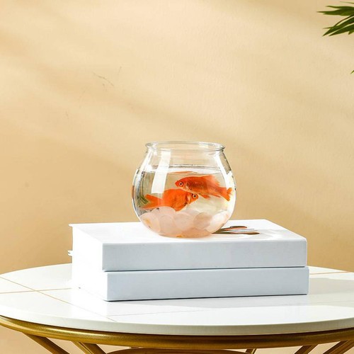 Clear fishes tank aquatic - fishes,