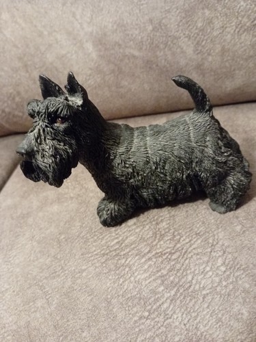 West highland terrier scottie - west,