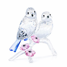 Swarovski 5004727 Lovebirds