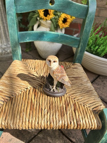 The country bird - the, collection