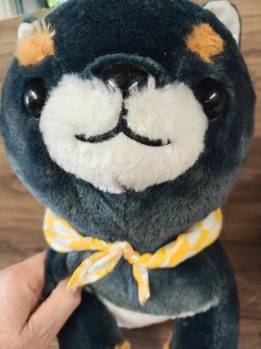 Amuse amufun cute akita inu - amuse,