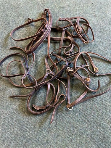 Joblot nosebands - joblot,