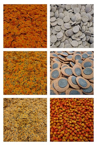 Pro colour energy - energy, tetra