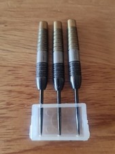 Raymond Van Barneveld Darts