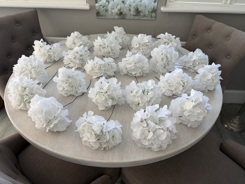 Job lot x22 - lot, hydrangea