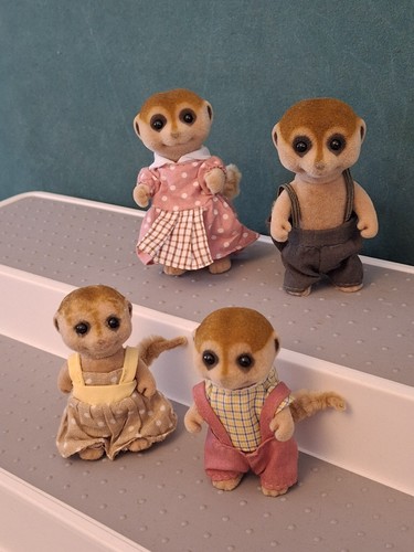 Sylvanian families spotter - families,