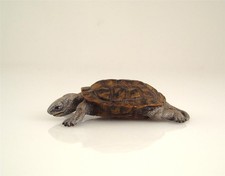 Franz Bergmann Vienna Brass