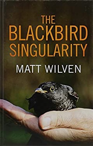 The blackbird singularity matt - blackbird,
