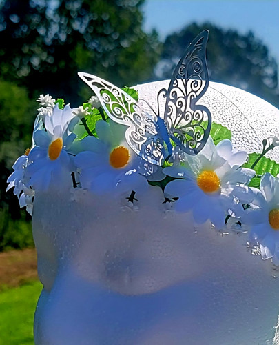 Adjustable white daisy - adjustable, floral