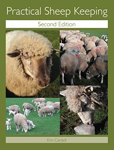 Practical sheep keeping - sheep, by