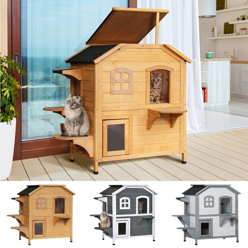 Cat condo tons room - cat,