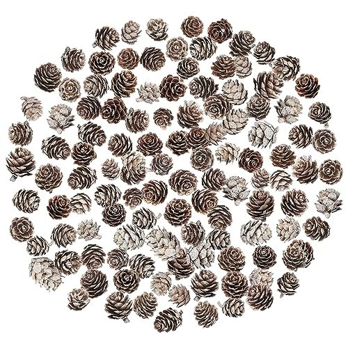 200 natural mini pine cones - mini,