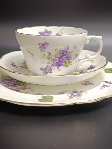 Hammersley victorian violets - victorian,