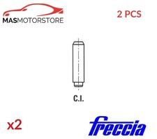 VALVE GUIDES FRECCIA G11039