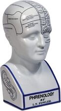 Phrenology Head L.N fowler porcelain 12'' ceramic head Antique  crackle glaze