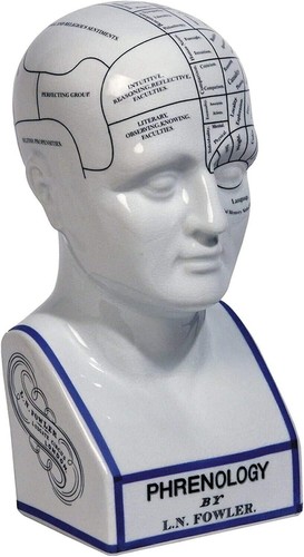 Phrenology head fowler - head, l.n