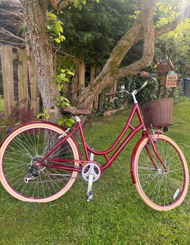 Raleigh willow hybrid low - willow,