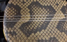 Okinawa Sanshin Shamisen 3 String sanxian Chinese Japanese style banjo lute