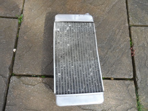 Iame x30 silver - -, go