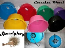 Speedyhog 16" Exercise Wheel - African Pigmy Hedgehog Wheel with Double Bearings