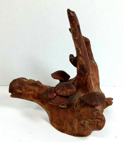 Vintage mcm oak tree - vintage, root