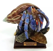 Nature Techni Colour Ogasawara