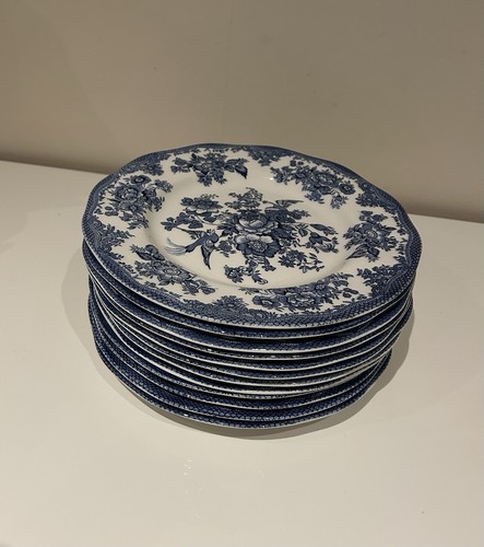 Beautiful blue dinner dozen - dinner,