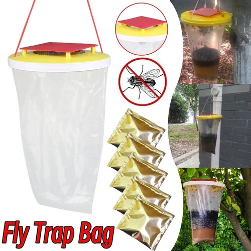 Red top fly - ,