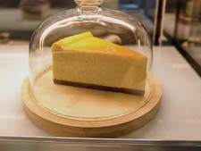 Fake Cheese Cake Realistic