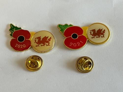 Welsh 2020 2021 poppy - 2021, poppy¹