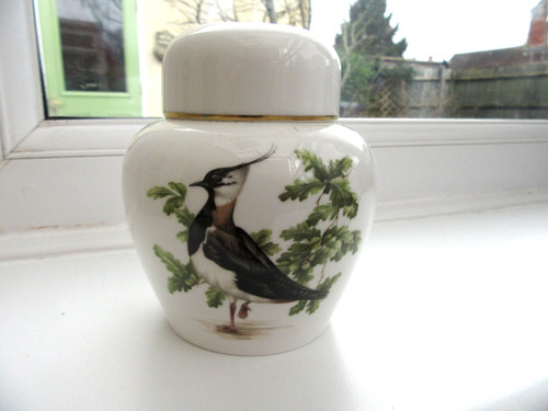 Coalport the lapwing - 'the, lapwing'