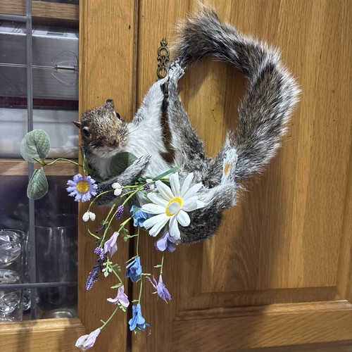 Pretty ready hand squirrel - pretty,