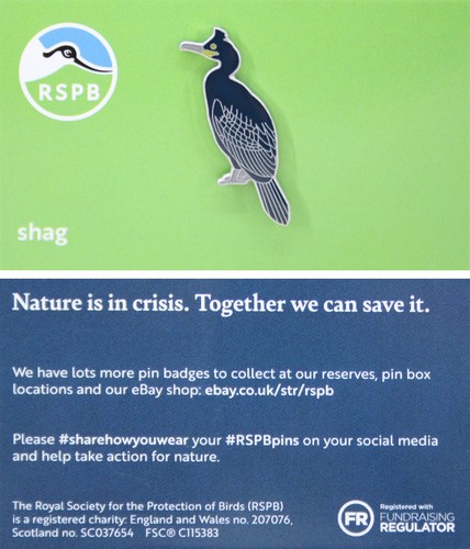 Rspb pin badge niic shag - badge,