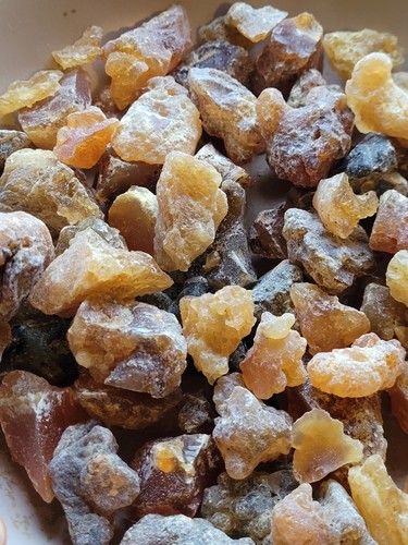Rare organic sacred peruvian - sacred,