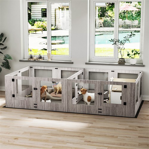 Large dog whelping - dog, box
