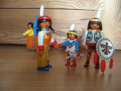 Playmobil 100 complete - 100%, set