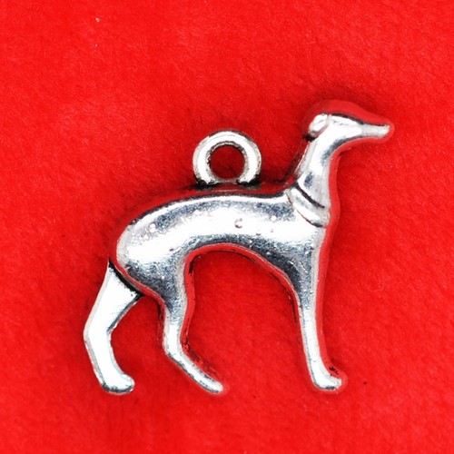 Tibetan silver greyhound - x,