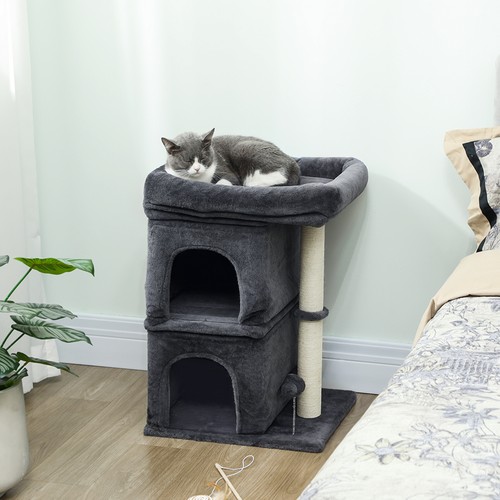 66cm small cat - small, tree