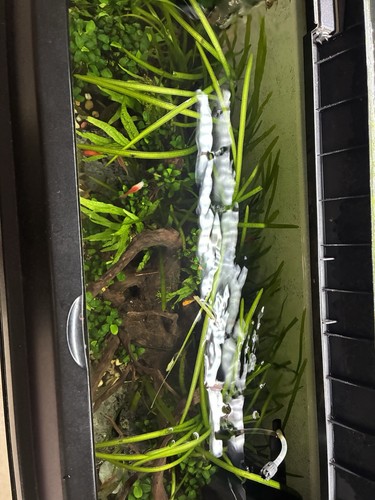 Juwel primo 110 - complete, setup
