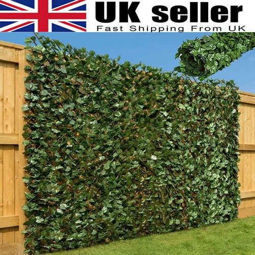 10m privacy screening - screening, trellis