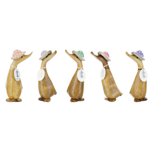 Dcuk toadstool hat duckling - dcuk,