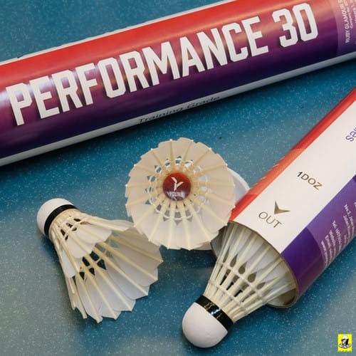 Young performance badminton - young,