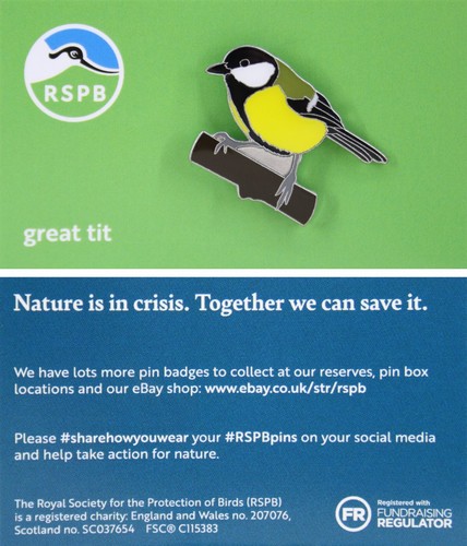 Rspb pin badge niic great - rspb, tit