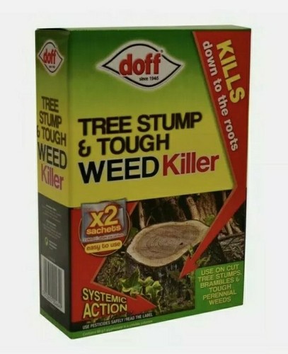 Tree stump brambles tough - brambles, &